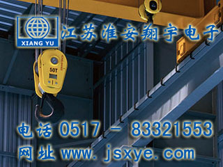 起重限制保護(hù)系統(tǒng)廠家江蘇淮安翔宇電子測(cè)控自動(dòng)化起重機(jī)超載限制器 起重超載限制器保護(hù)系統(tǒng)安全可靠堅(jiān)固耐用 更多起重機(jī)起重限制器就在www.hgtfecl.cn 電話0517-83321553